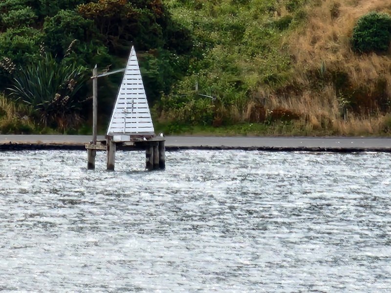 nzaus20230222_180738.jpg