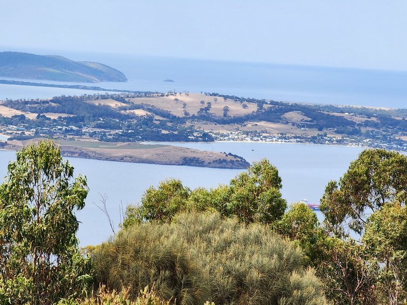 nzaus20230225_122744.jpg