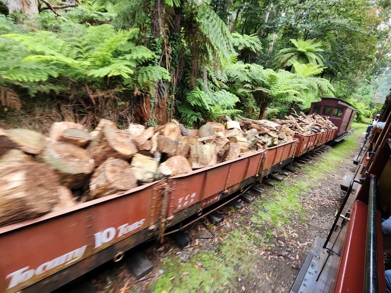 nzaus20230227_112313.jpg