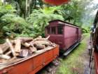 nzaus20230227_112316_small.jpg