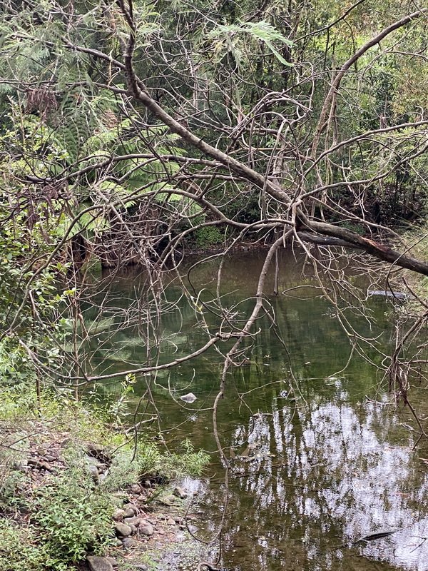 nzausimg_6974.jpg