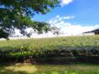 nzaus20230218_113334_small.jpg