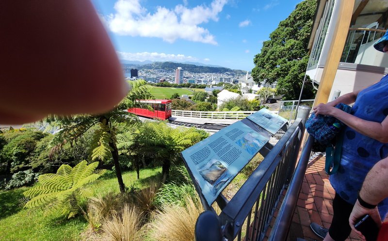 nzaus20230220_121307.jpg