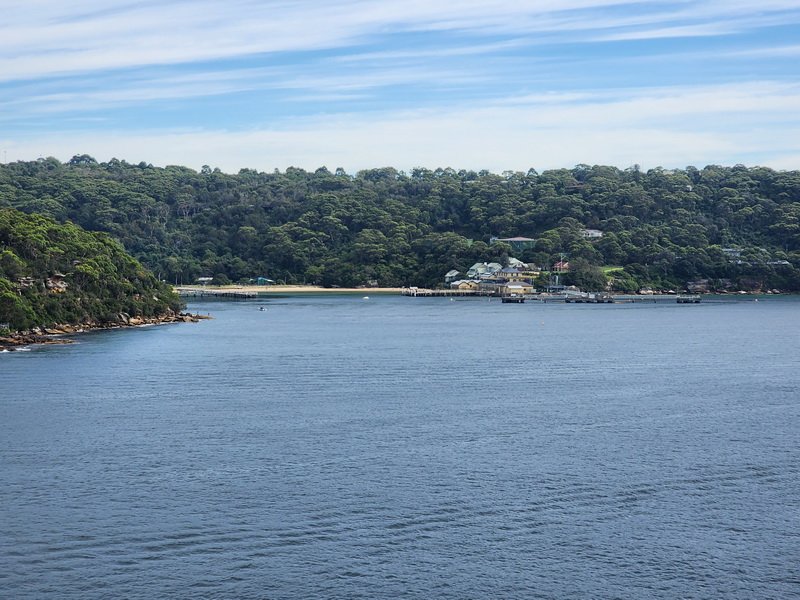nzaus20230301_101353.jpg