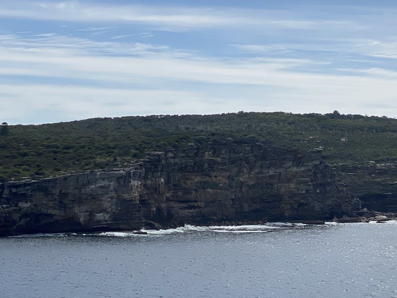 nzausimg_7074.jpg
