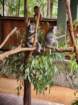 aus20230308_112315_small.jpg