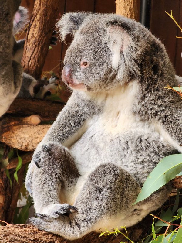 aus20230308_112618.jpg