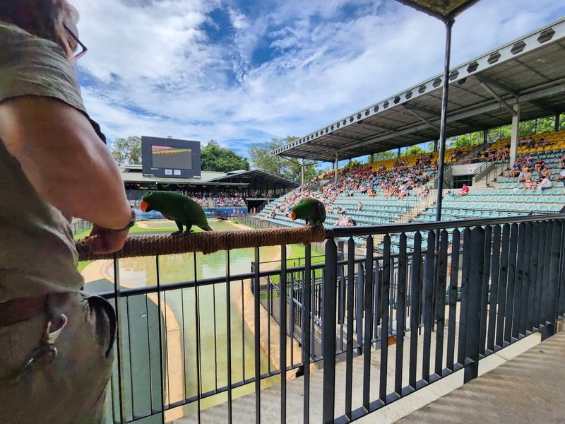 aus20230308_134056.jpg