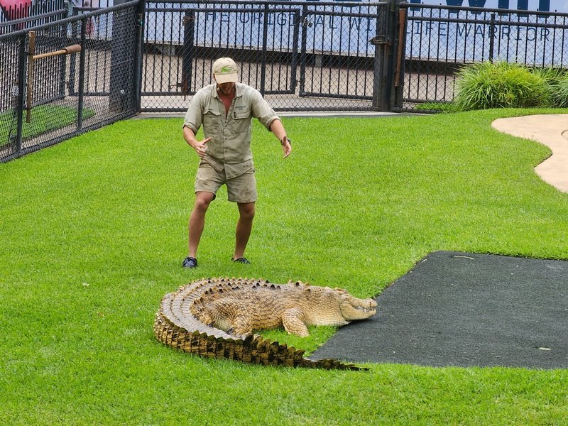 aus20230308_134536.jpg