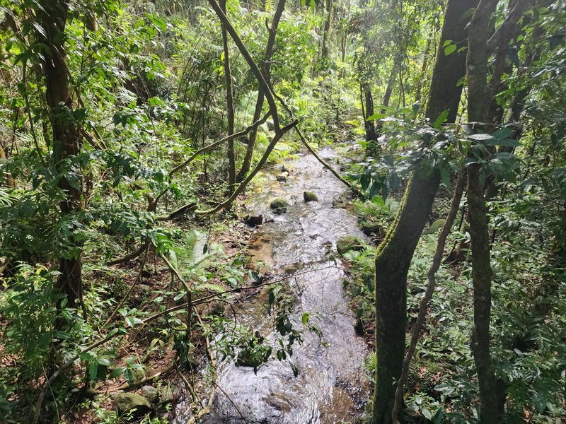 aus20230303_090601.jpg