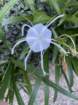 ausimg_7154_small.jpg