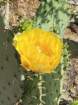 billlindaimg_8638_small.jpg