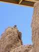 billlindaimg_8680_small.jpg