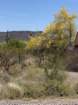billlindaimg_8921_small.jpg