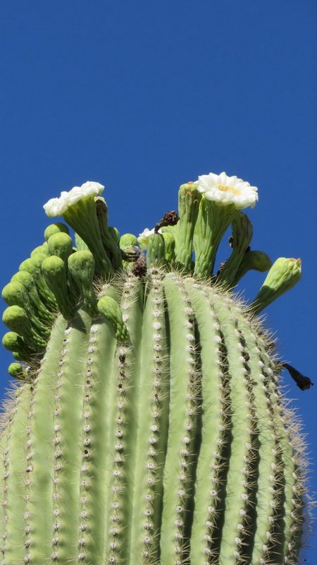 billlindaimg_4763.jpg