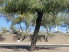 billlindaimg_8862_small.jpg