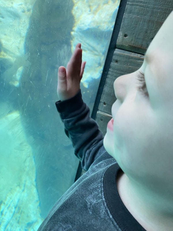 seaworldimg_9119.jpg
