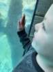 seaworldimg_9119_small.jpg