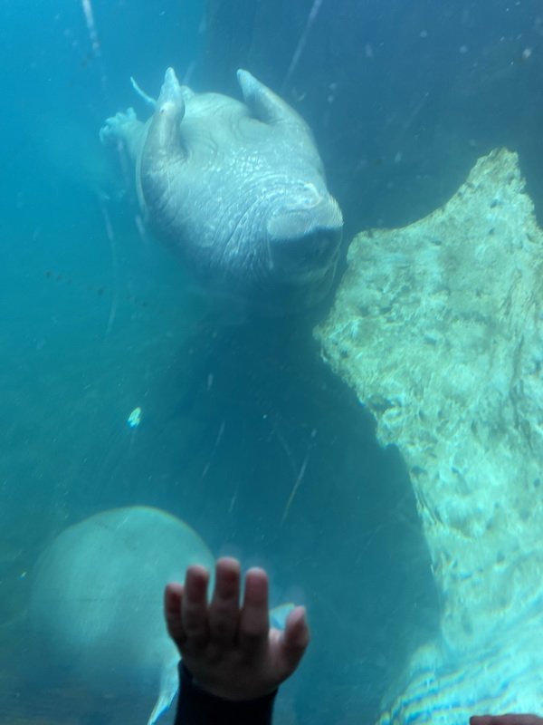 seaworldimg_9121.jpg