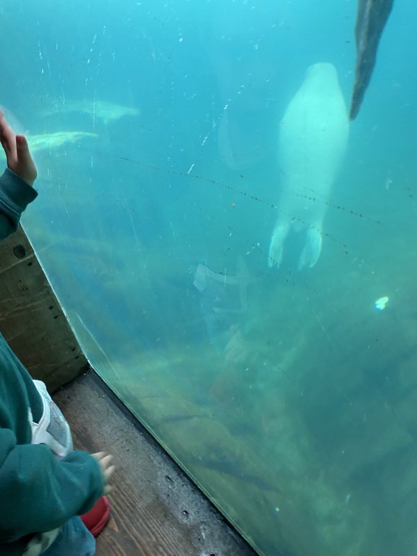 seaworldimg_9124.jpg