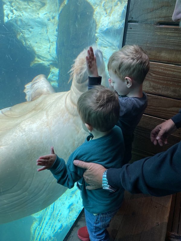 seaworldimg_9139.jpg