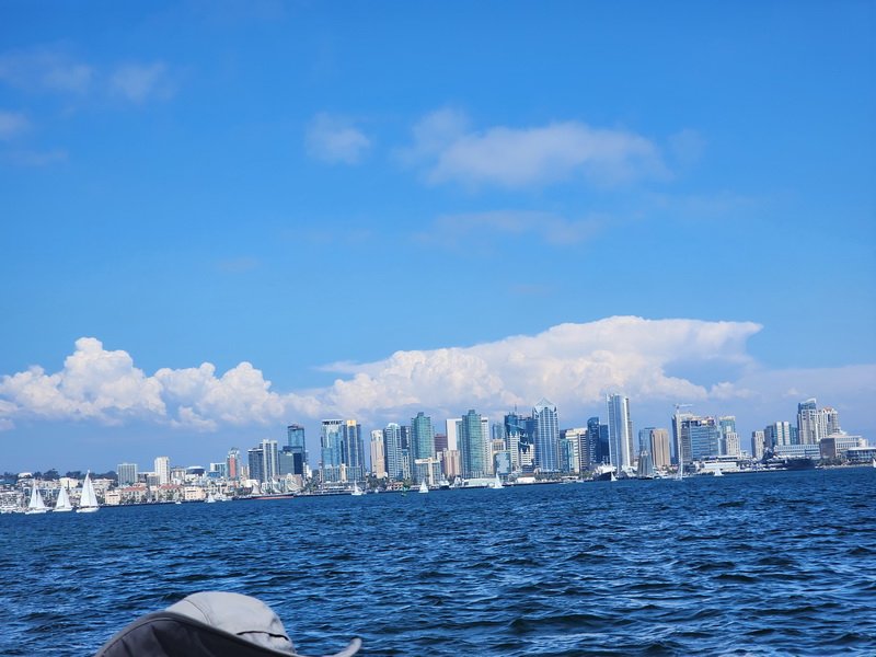 sailing20230813_152935.jpg