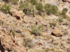 ranchend20231021_130139_small.jpg