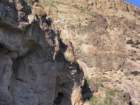ranchendimg_2514_small.jpg