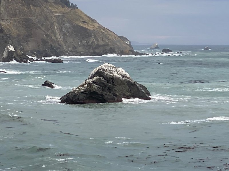 coastrunimg_3065.jpg