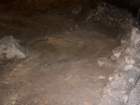bcarlbadimg_5143_small.jpg
