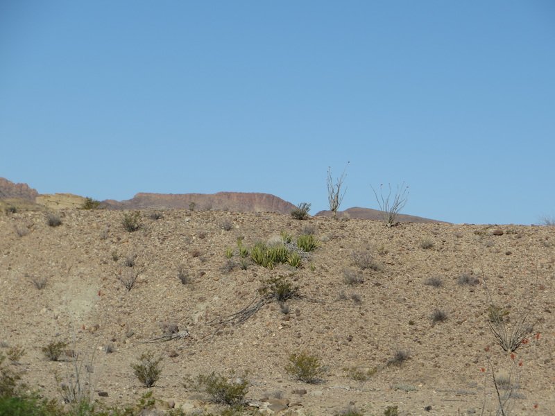 cbigbendimg_0150.jpg
