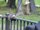 fsuffolk20240419_085258_small.jpg