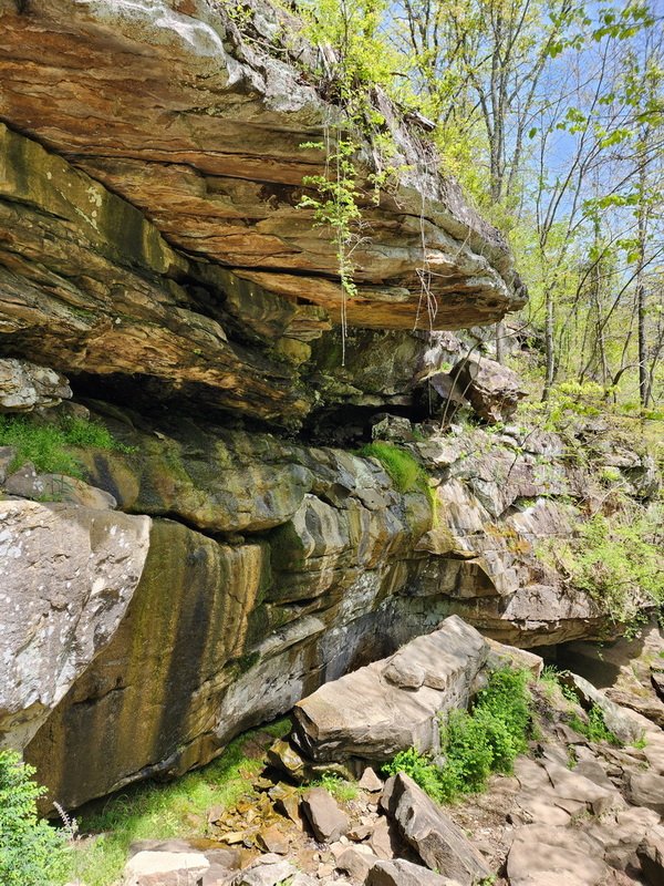 gcrossville20240423_130430.jpg