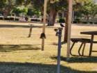 kwsmr20240429_181659_small.jpg
