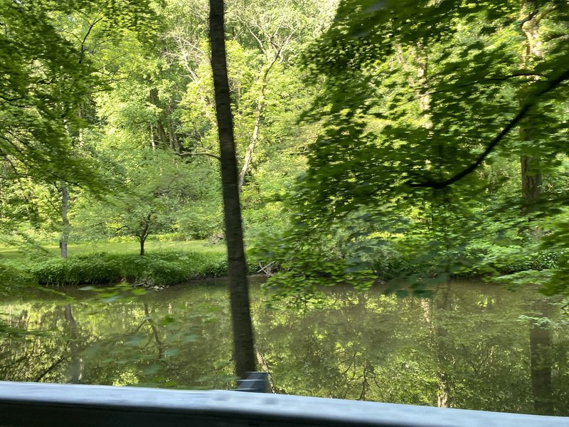 putsiesimg_7413.jpg