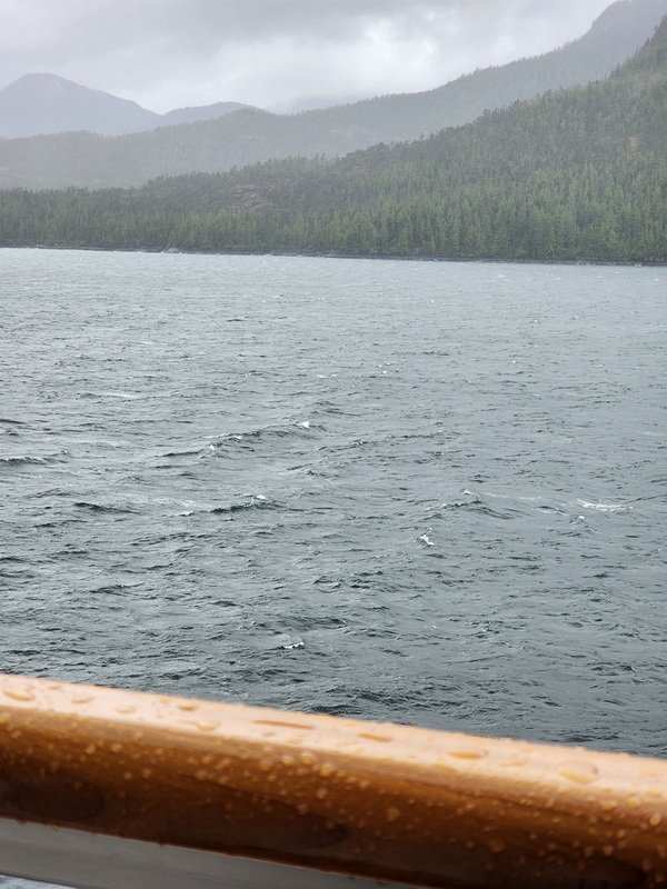 akboat20240604_173105.jpg