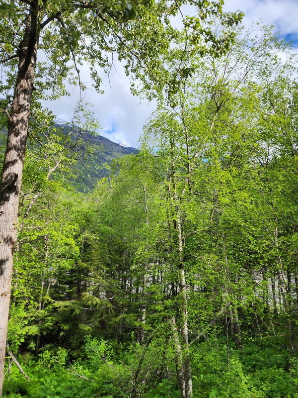 akboat20240607_102553.jpg
