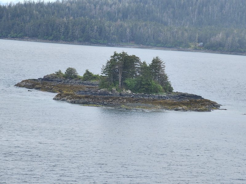 akboat20240609_105545.jpg