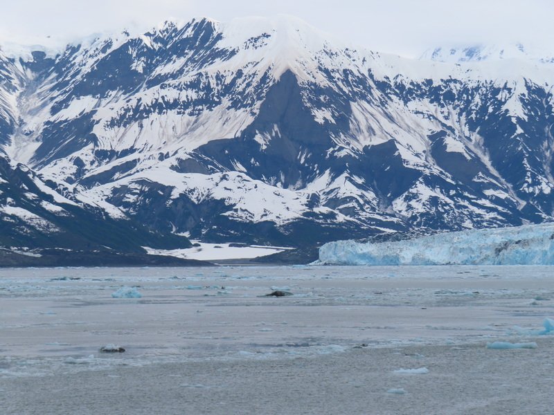 akboatimg_1794.jpg