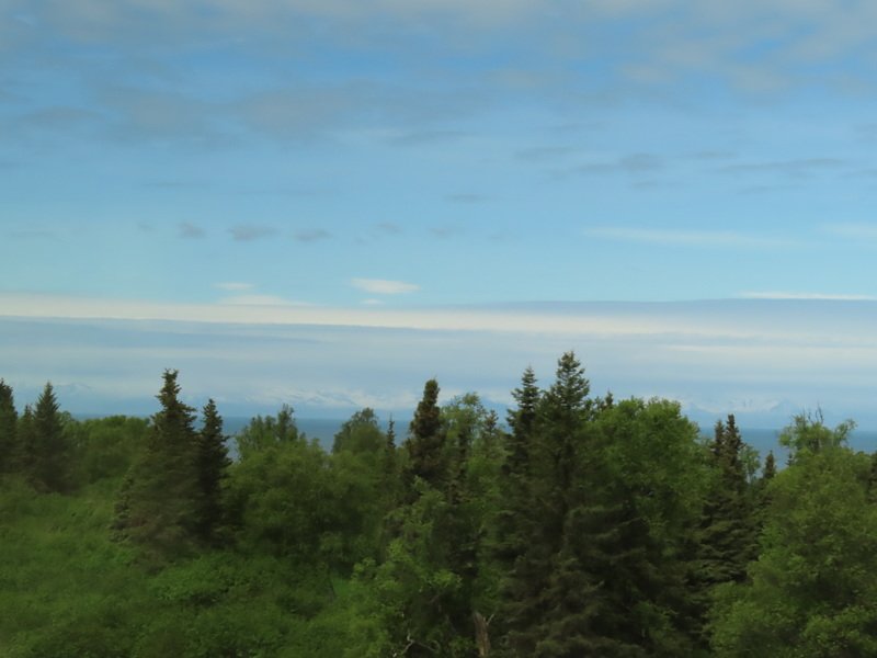 akbusimg_2092.jpg