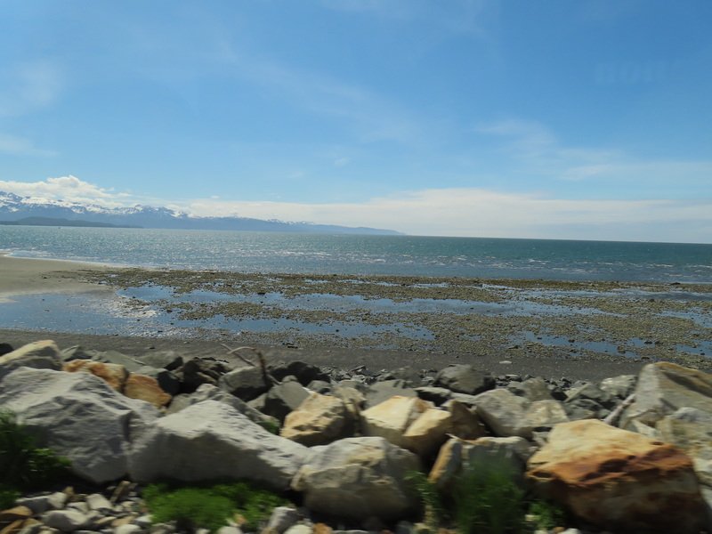 akbusimg_2158.jpg