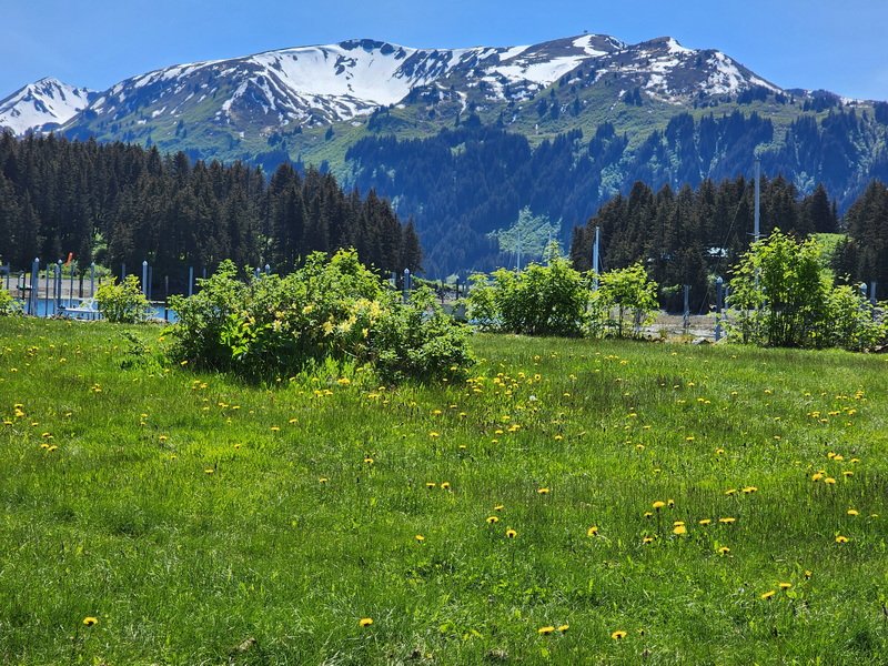 akbus20240614_143158.jpg