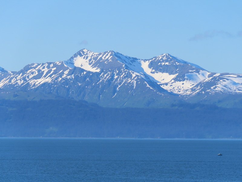 akbusimg_2189.jpg