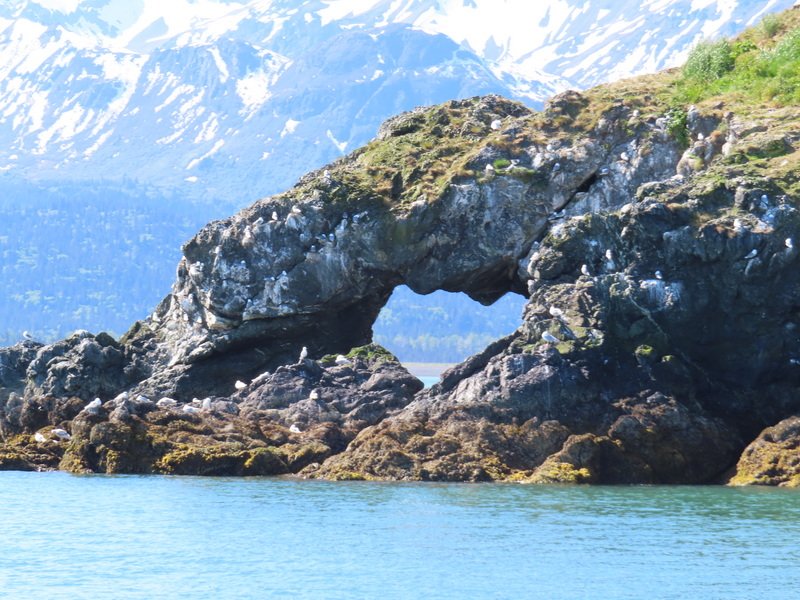 akbusimg_2215.jpg