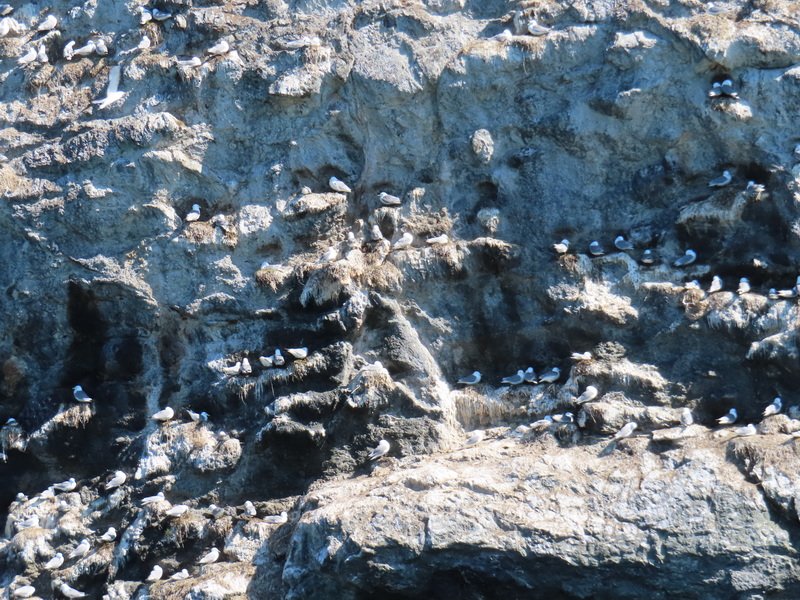 akbusimg_2242.jpg