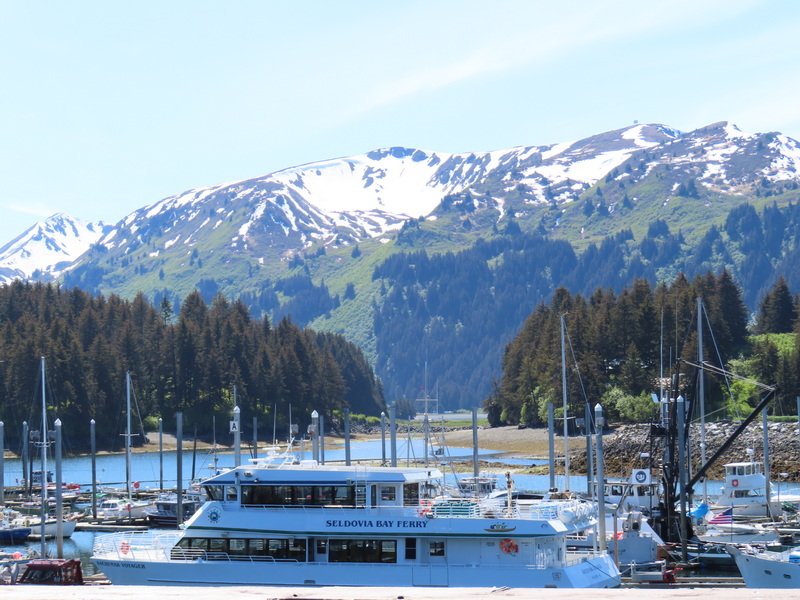 akbusimg_2286.jpg