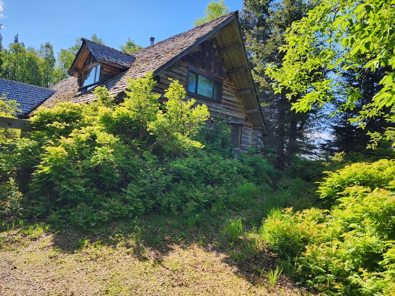akbus20240615_102852.jpg