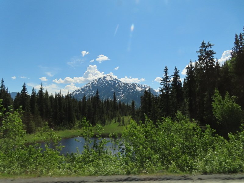akbusimg_2315.jpg