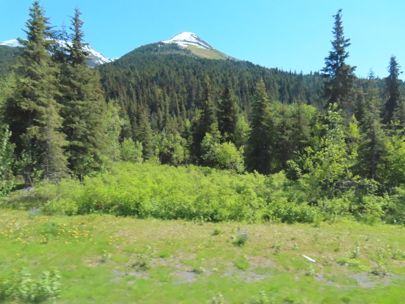 akbusimg_2322.jpg