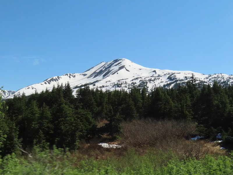 akbusimg_2337.jpg